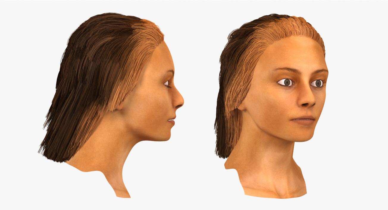 3D Arabian Woman Head model