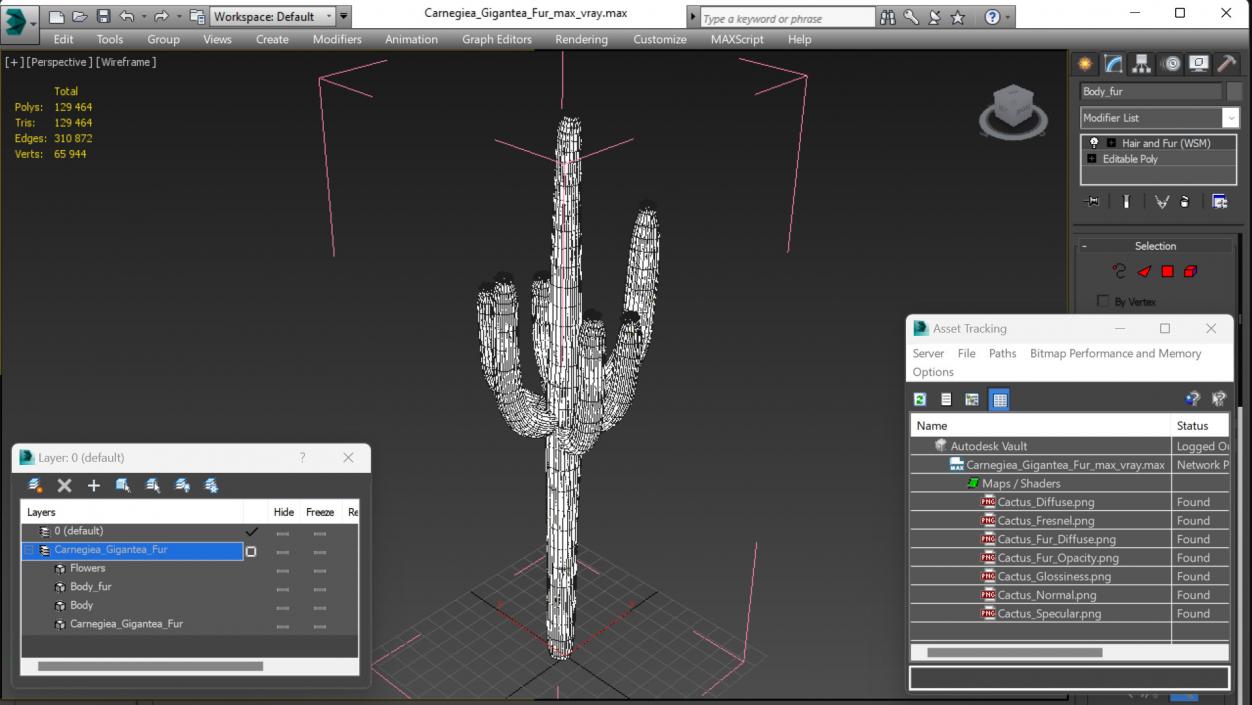 Carnegiea Gigantea Fur 3D