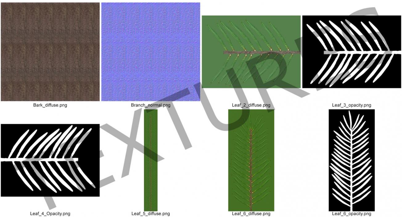 3D Spruces Collection model