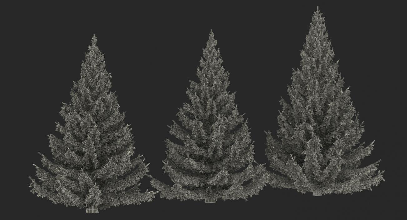 3D Spruces Collection model