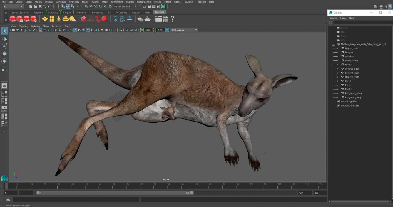 3D Mother Kangaroo with Baby Lying