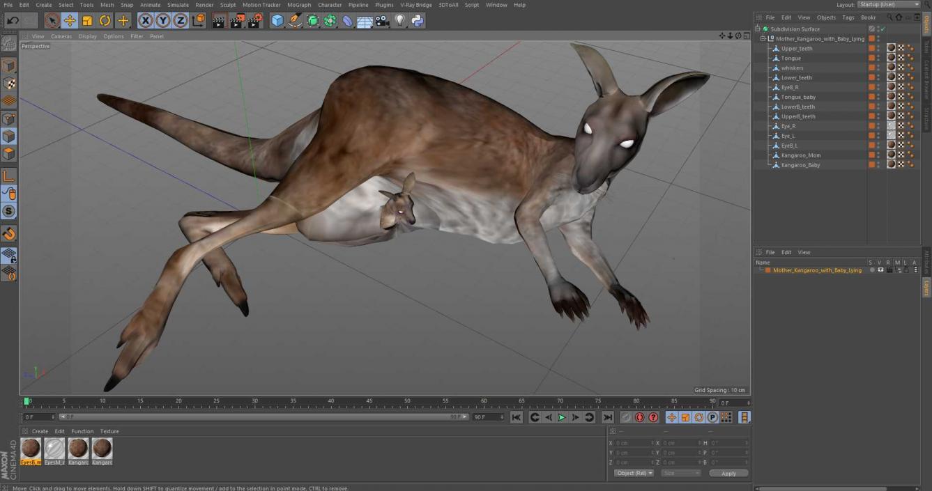 3D Mother Kangaroo with Baby Lying