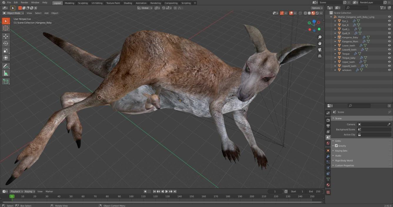 3D Mother Kangaroo with Baby Lying