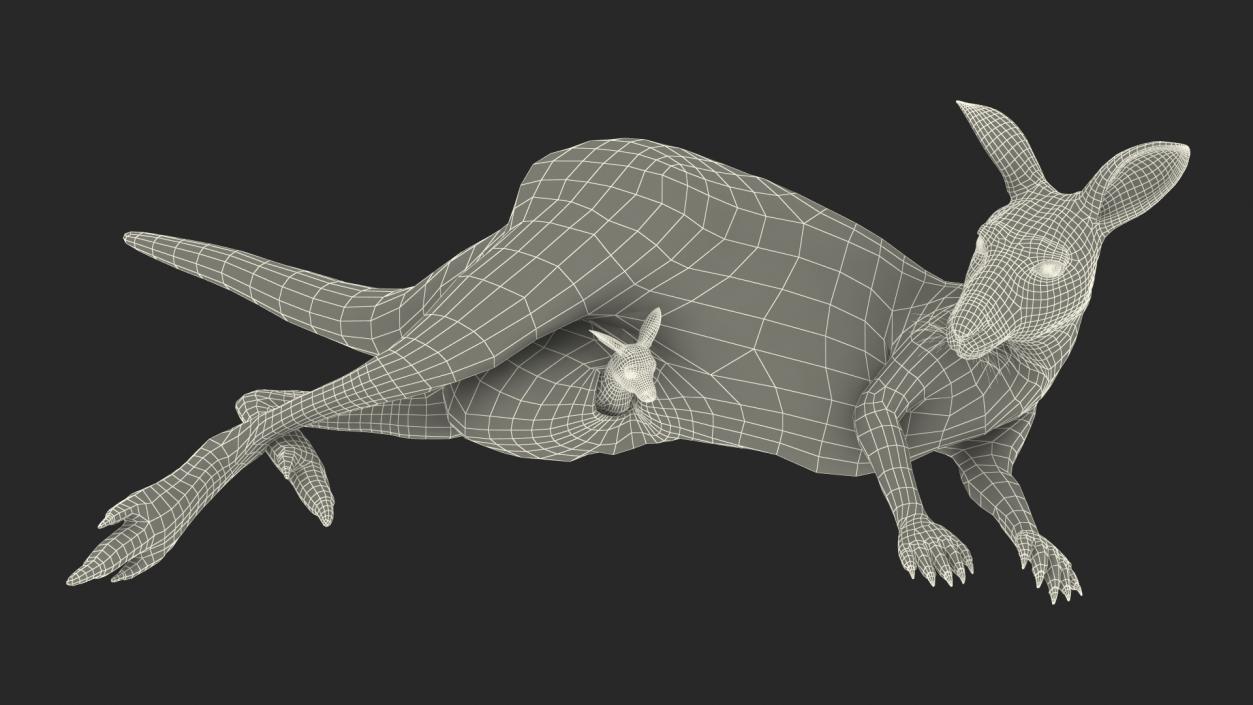 3D Mother Kangaroo with Baby Lying