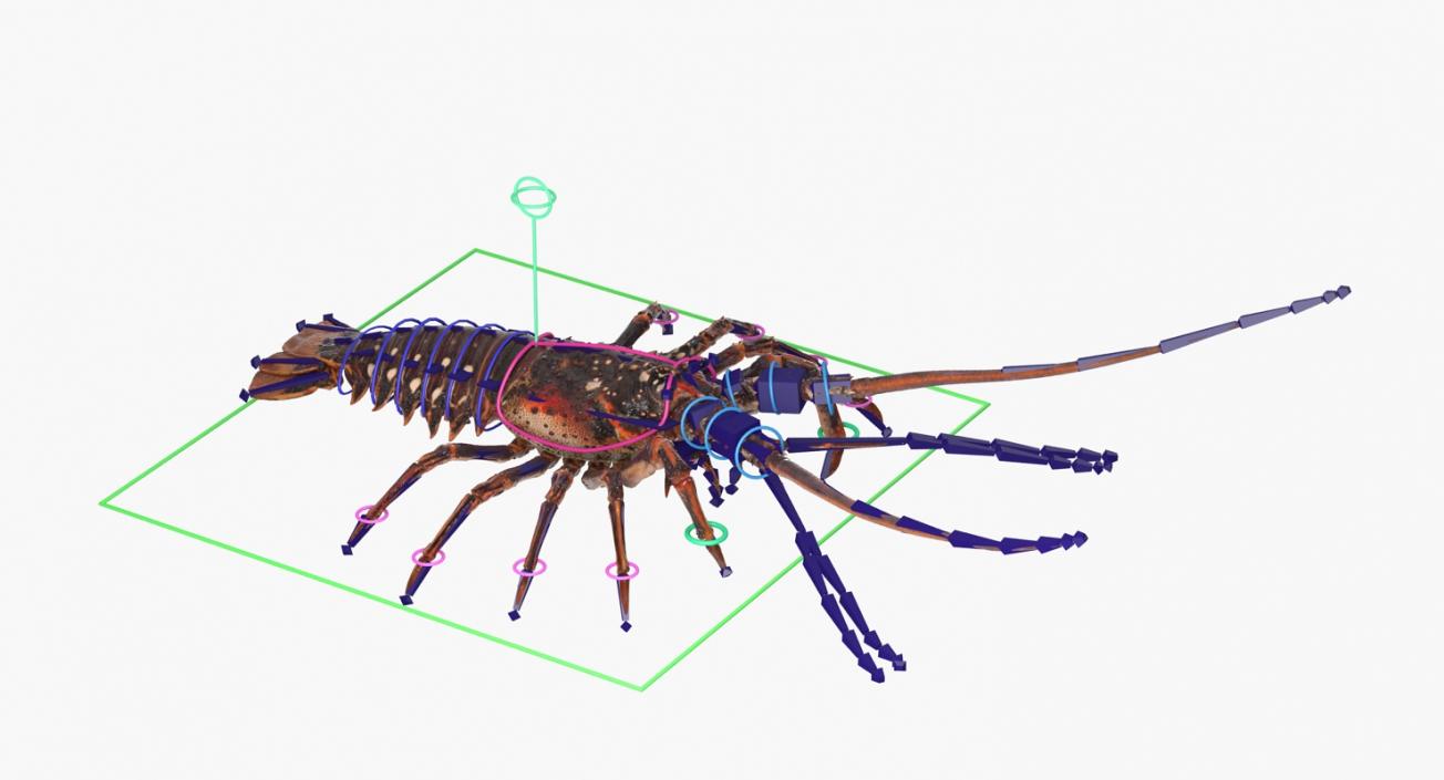 Lobster and Langouste Rigged Collection 3D model