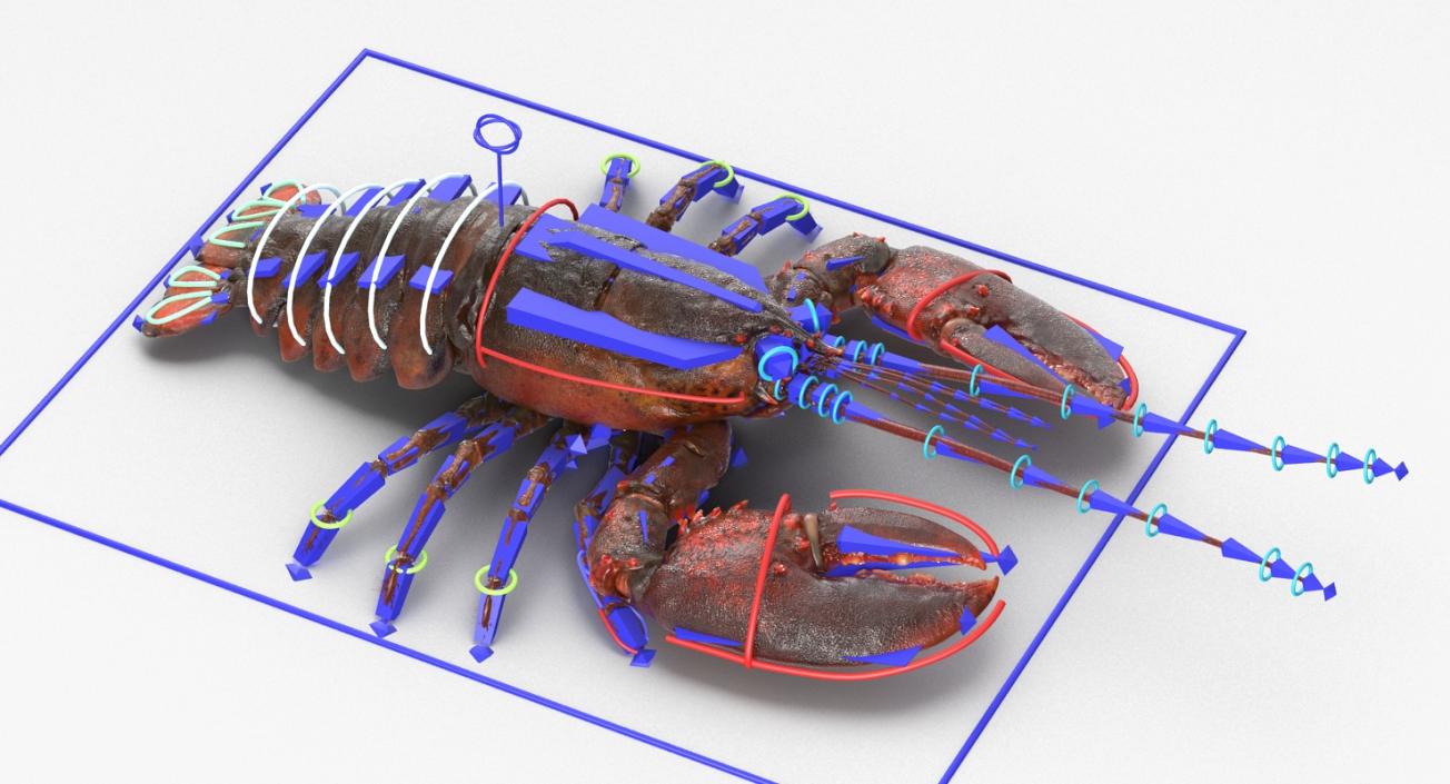 Lobster and Langouste Rigged Collection 3D model