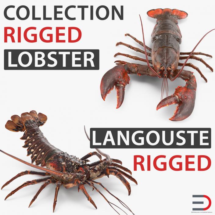 Lobster and Langouste Rigged Collection 3D model