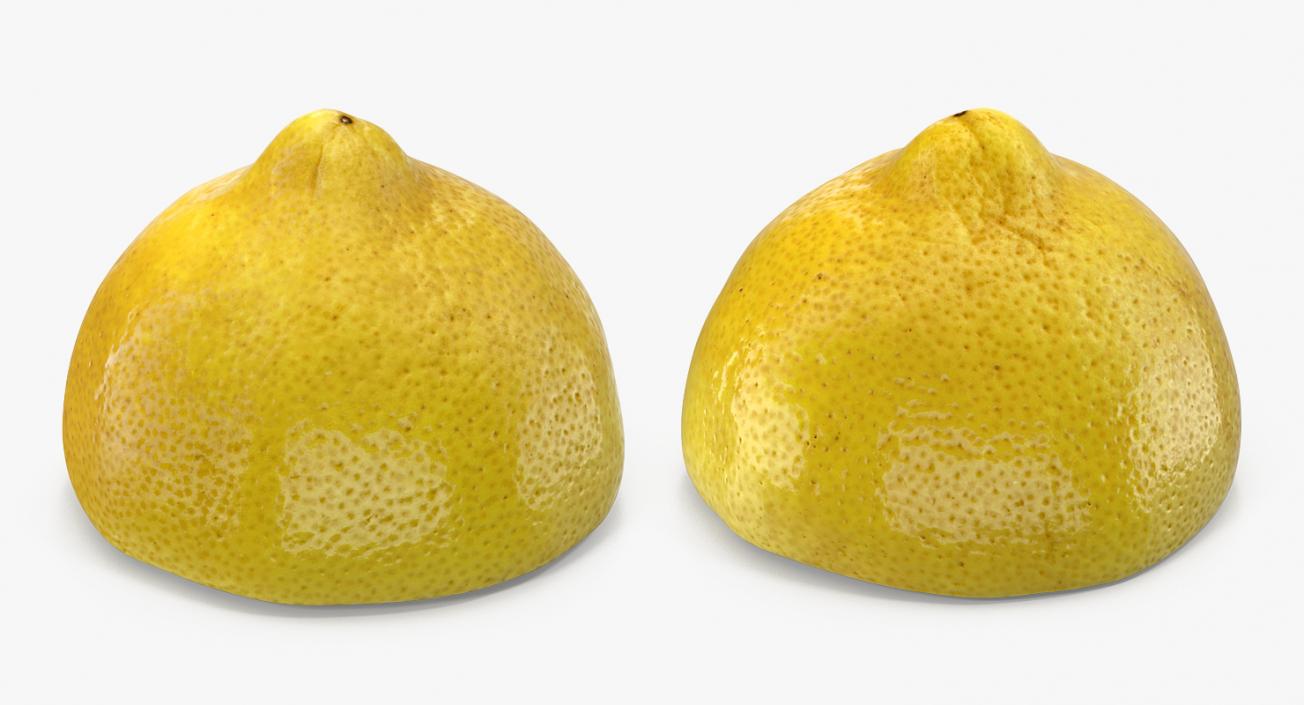 3D Lemon Collection