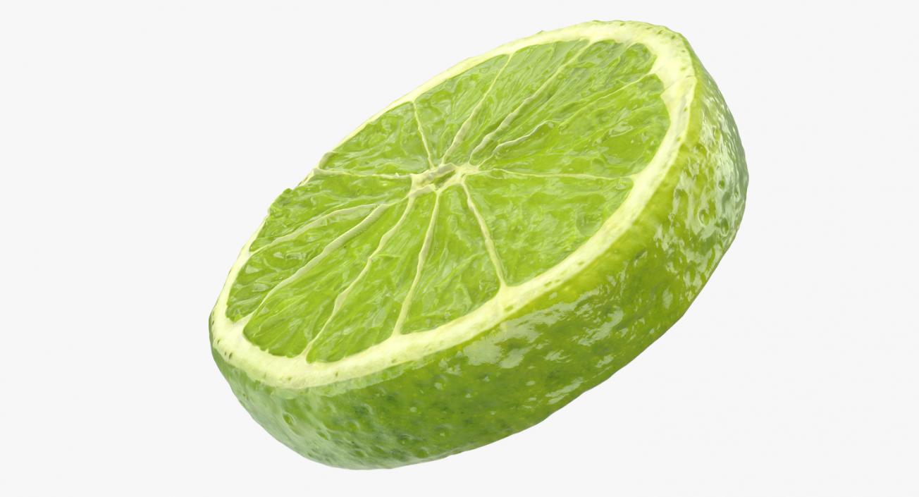 3D model Lime Slice