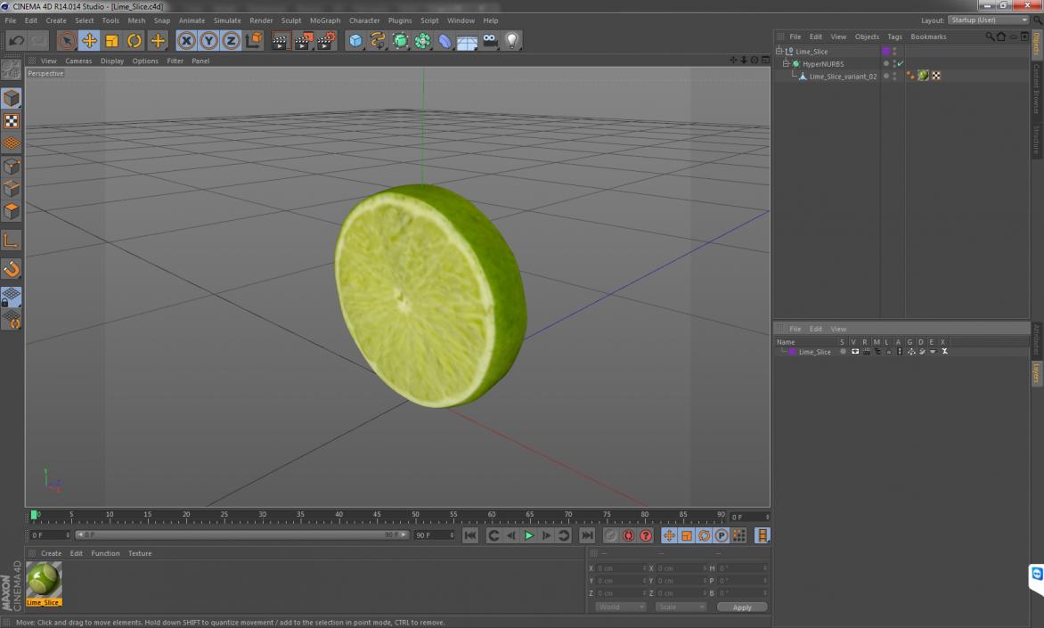 3D model Lime Slice