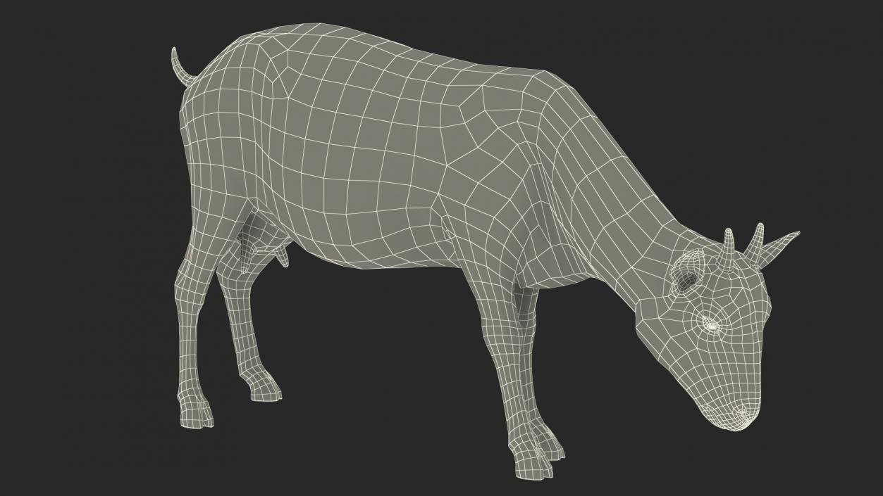 3D Grazing Goat Black-White Fur model