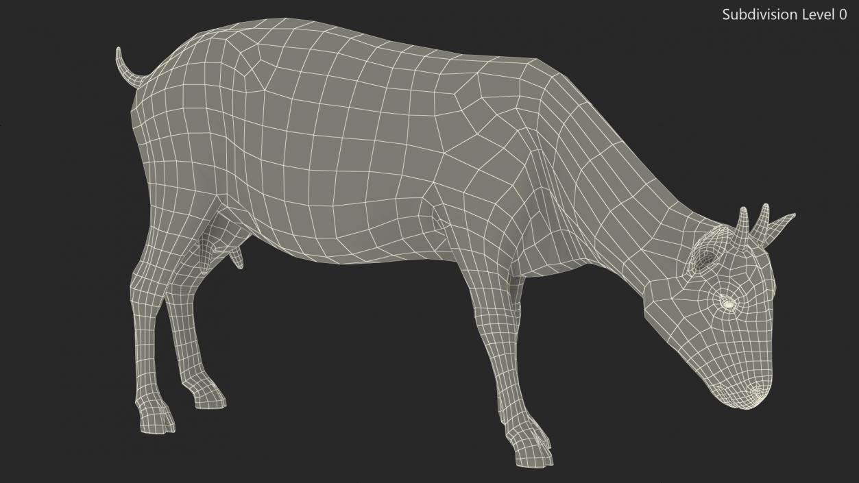 3D Grazing Goat Black-White Fur model