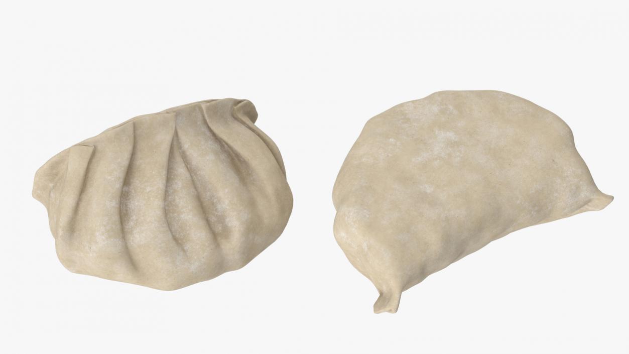 Chinese Dumpling Raw 2 3D