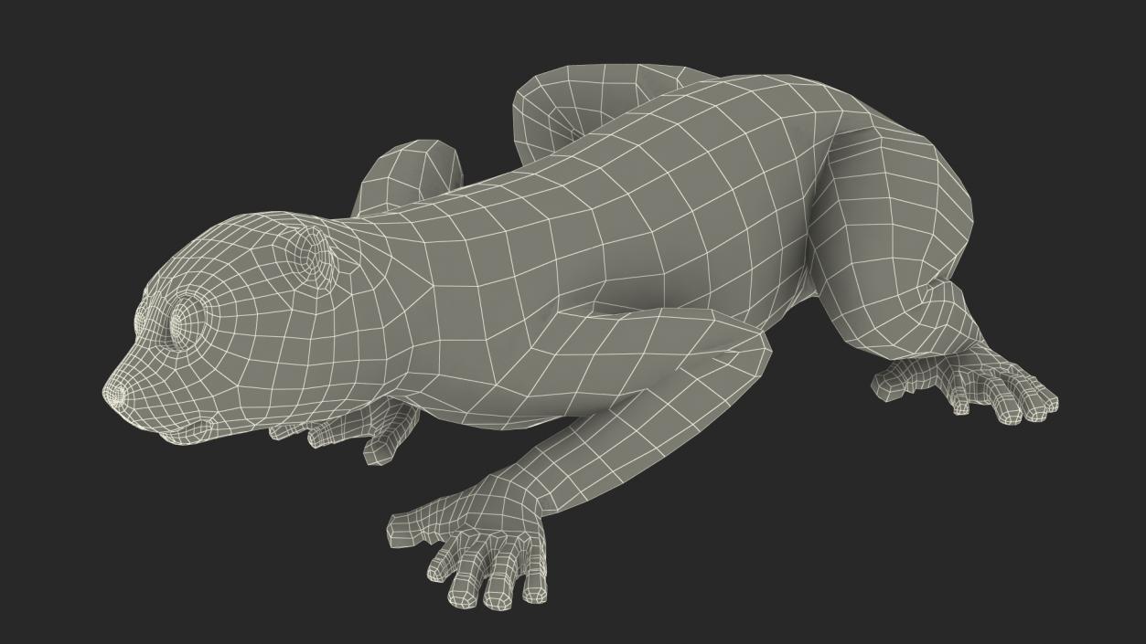 3D Sumatran Slow Loris Fur model