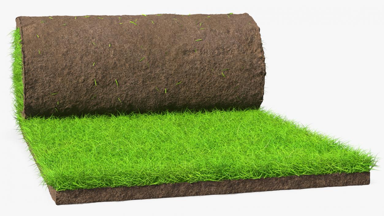 3D Lawn Turf Roll Fur model