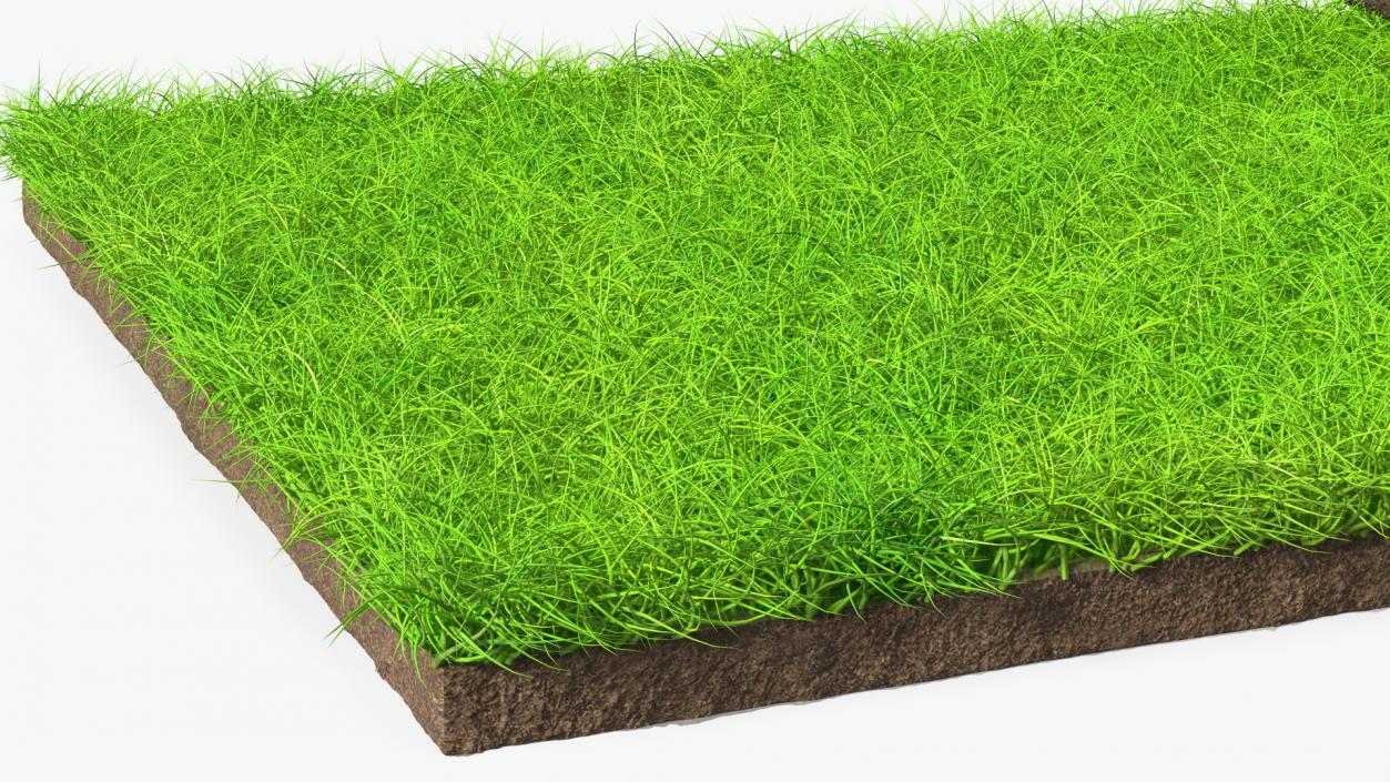 3D Lawn Turf Roll Fur model