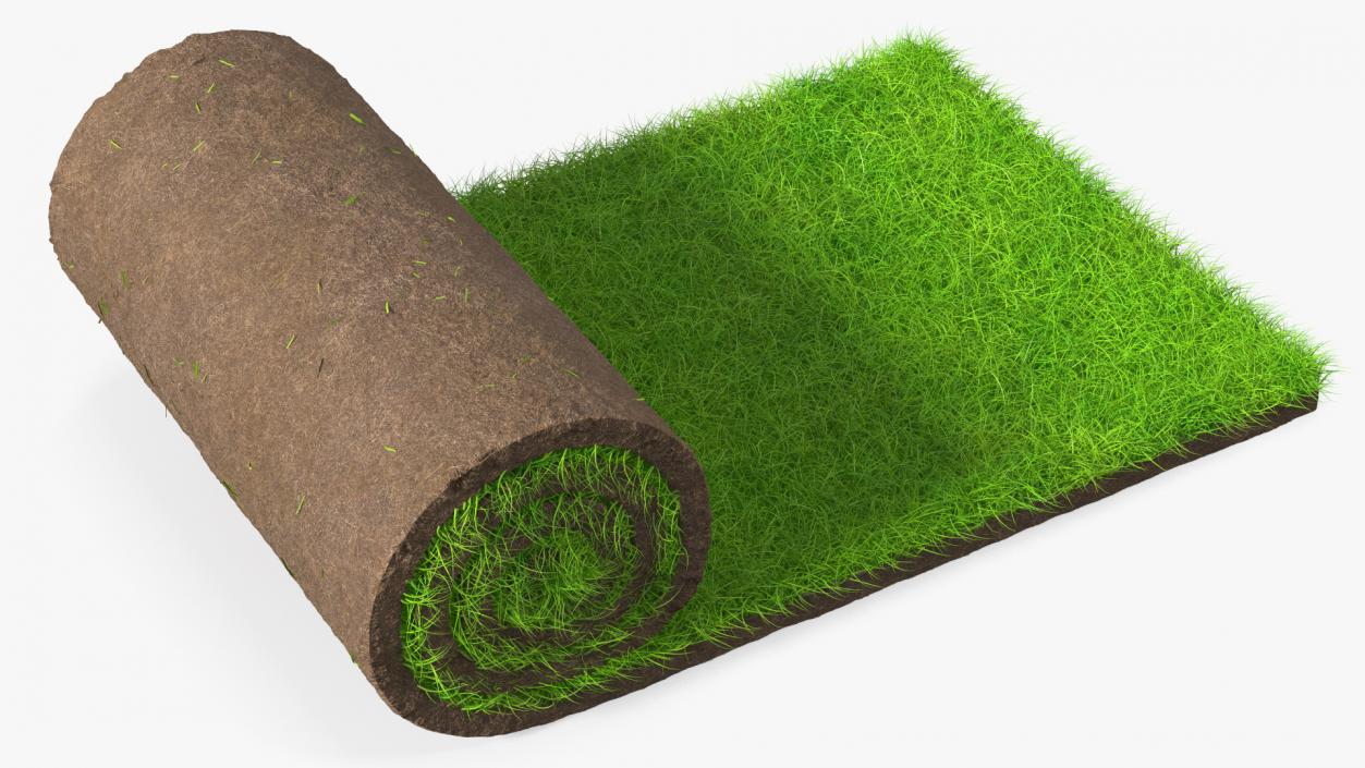 3D Lawn Turf Roll Fur model