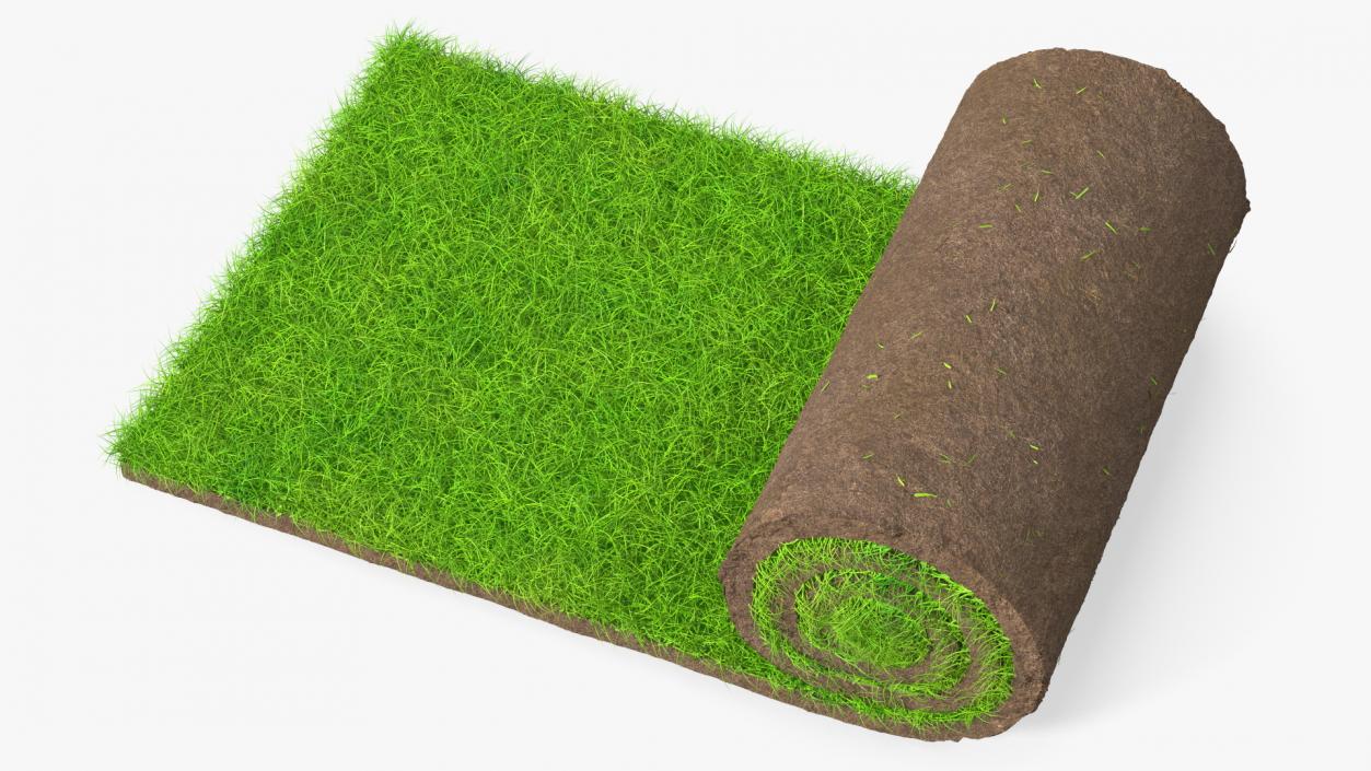 3D Lawn Turf Roll Fur model