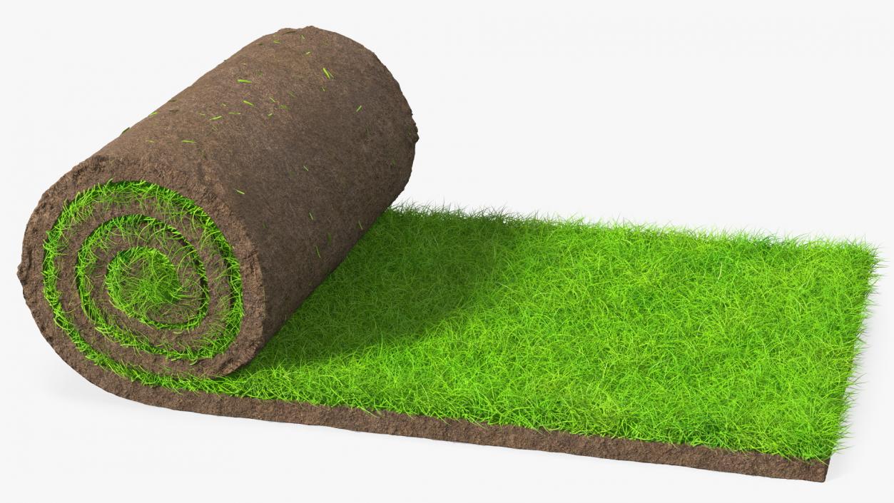 3D Lawn Turf Roll Fur model