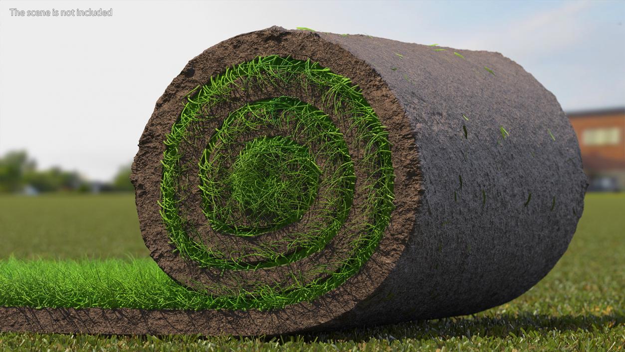 3D Lawn Turf Roll Fur model