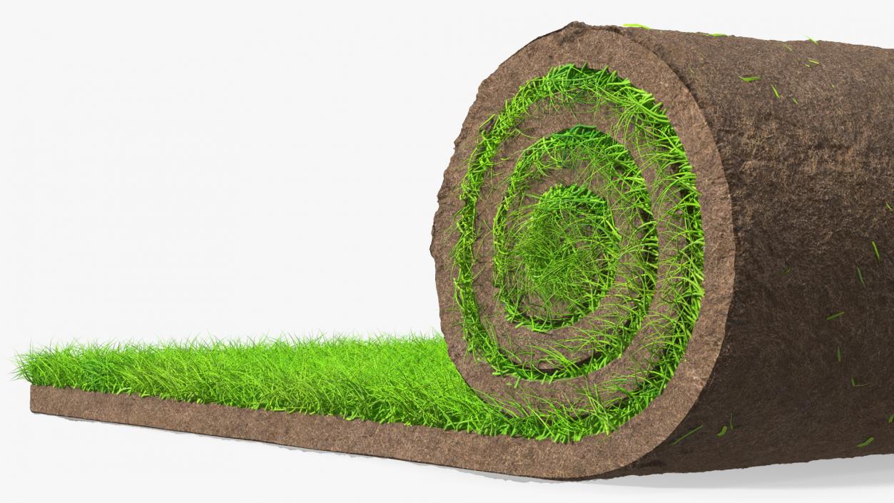 3D Lawn Turf Roll Fur model