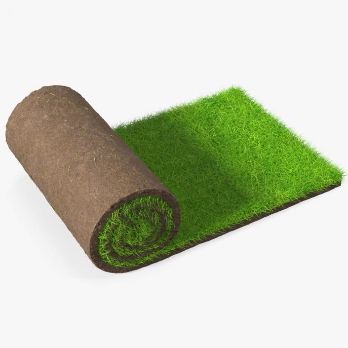 3D Lawn Turf Roll Fur model