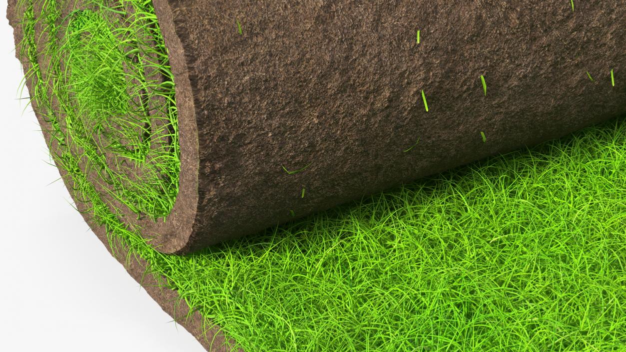 3D Lawn Turf Roll Fur model