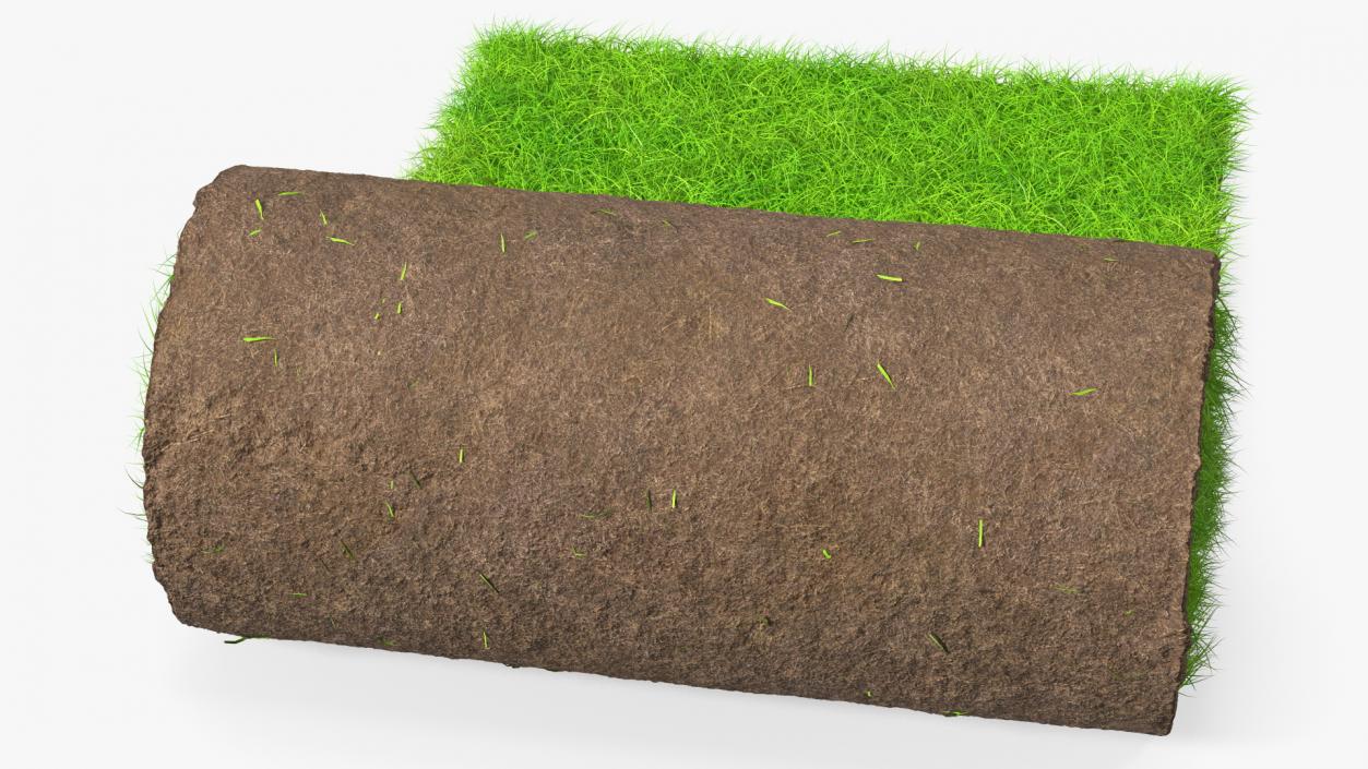 3D Lawn Turf Roll Fur model