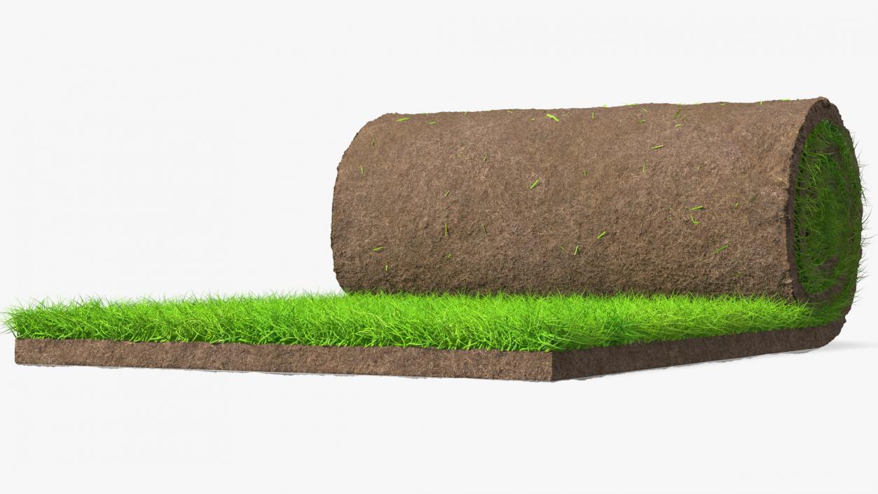 3D Lawn Turf Roll Fur model