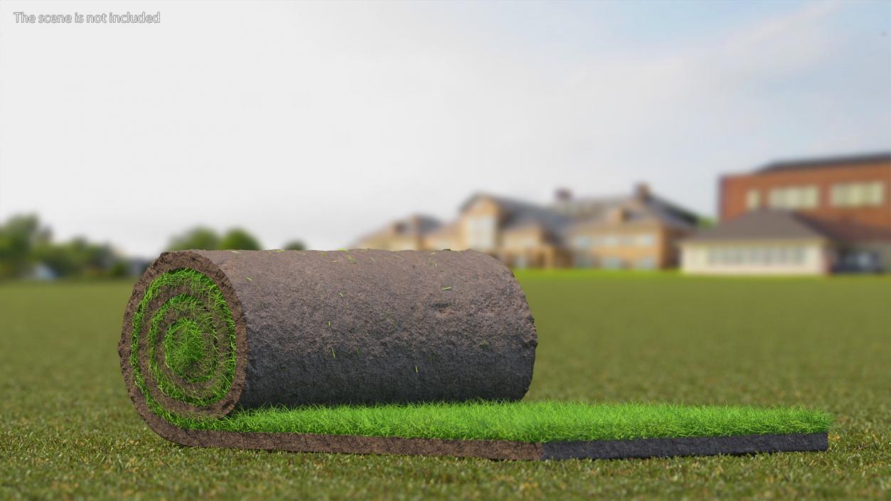 3D Lawn Turf Roll Fur model