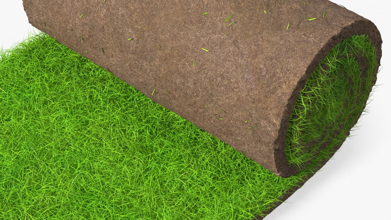 3D Lawn Turf Roll Fur model