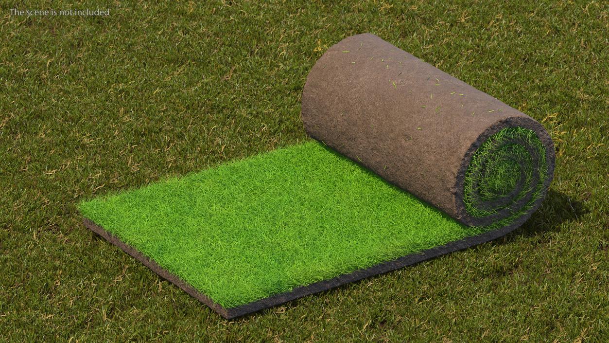 3D Lawn Turf Roll Fur model