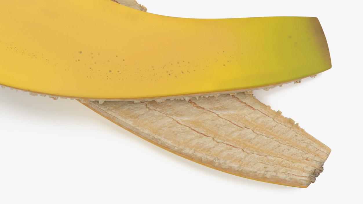 3D Banana Rind