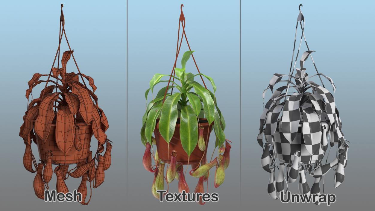 Carnivorous Plant in Hanging Pot 3D