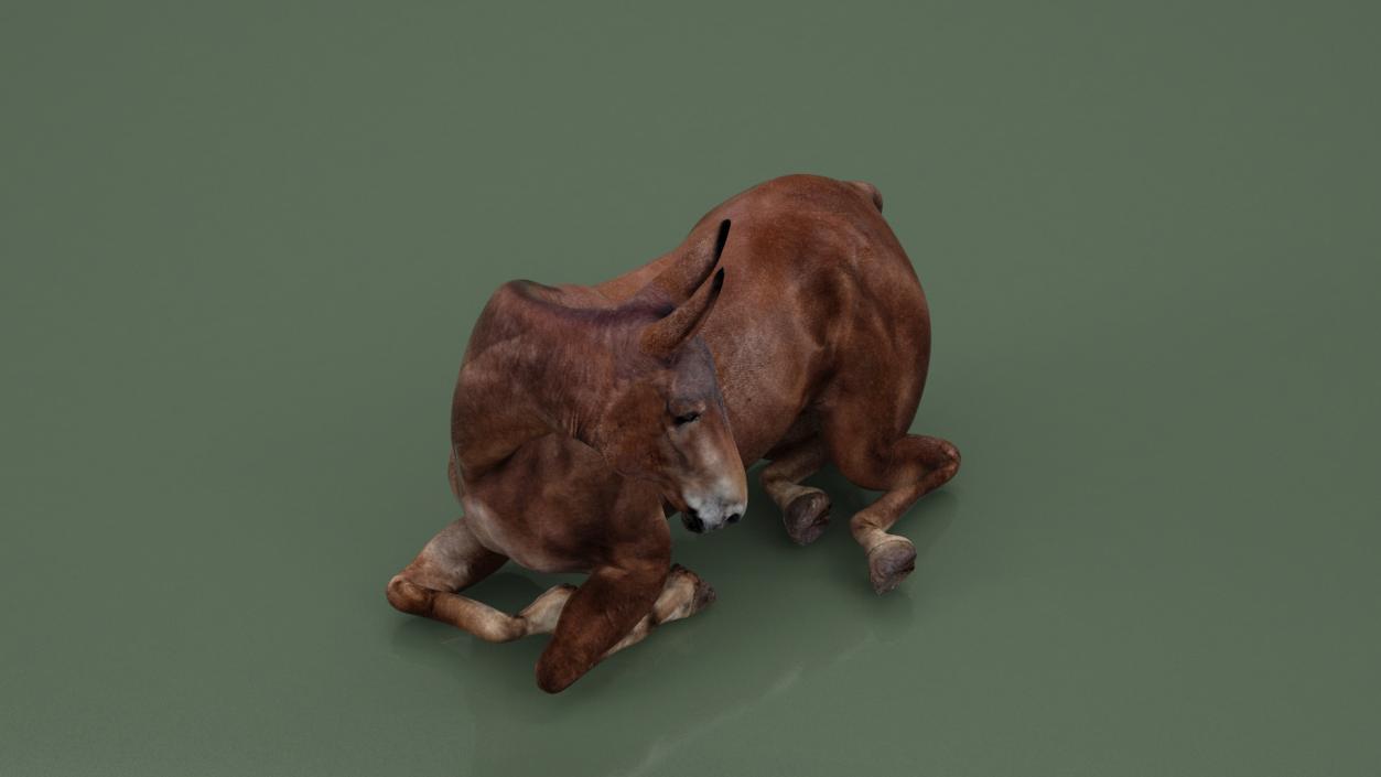 3D Lying Bay Mule 2