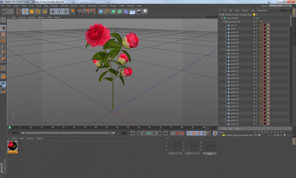 3D Garden Flower Camellia Red