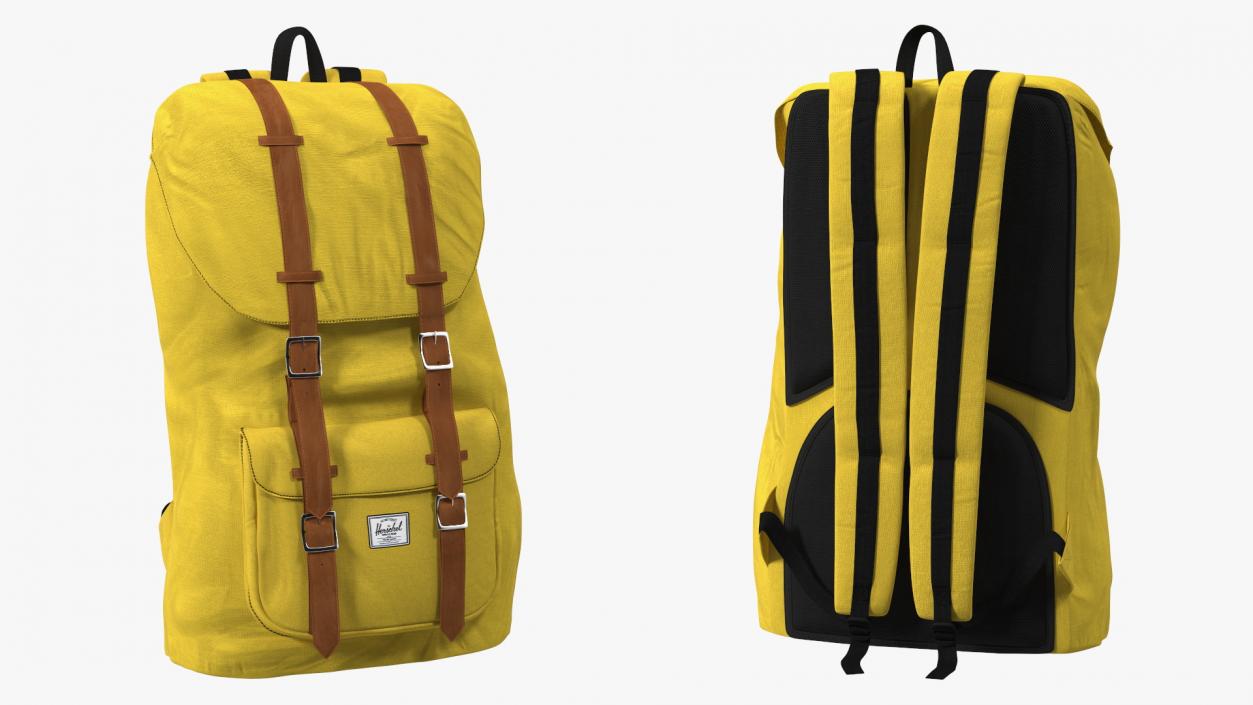 Classic Urban Backpack 3D