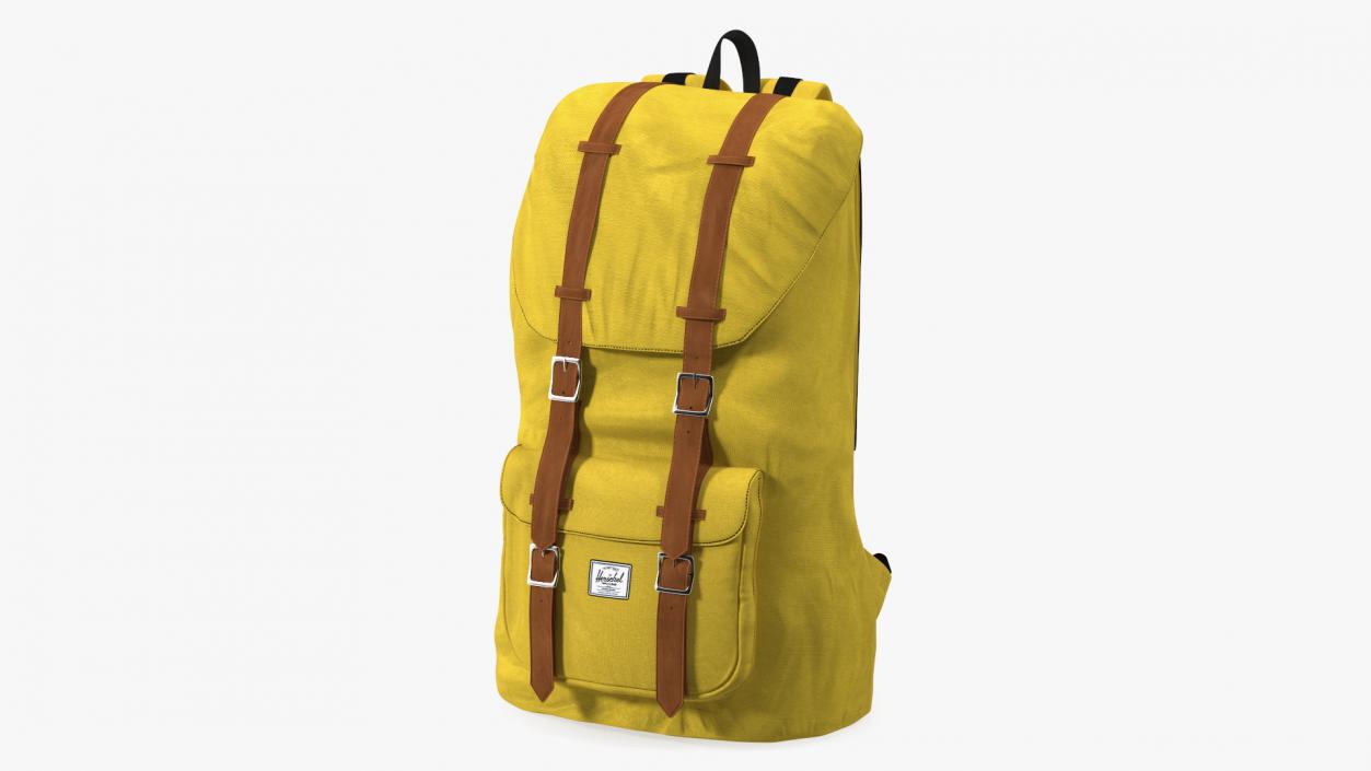 Classic Urban Backpack 3D