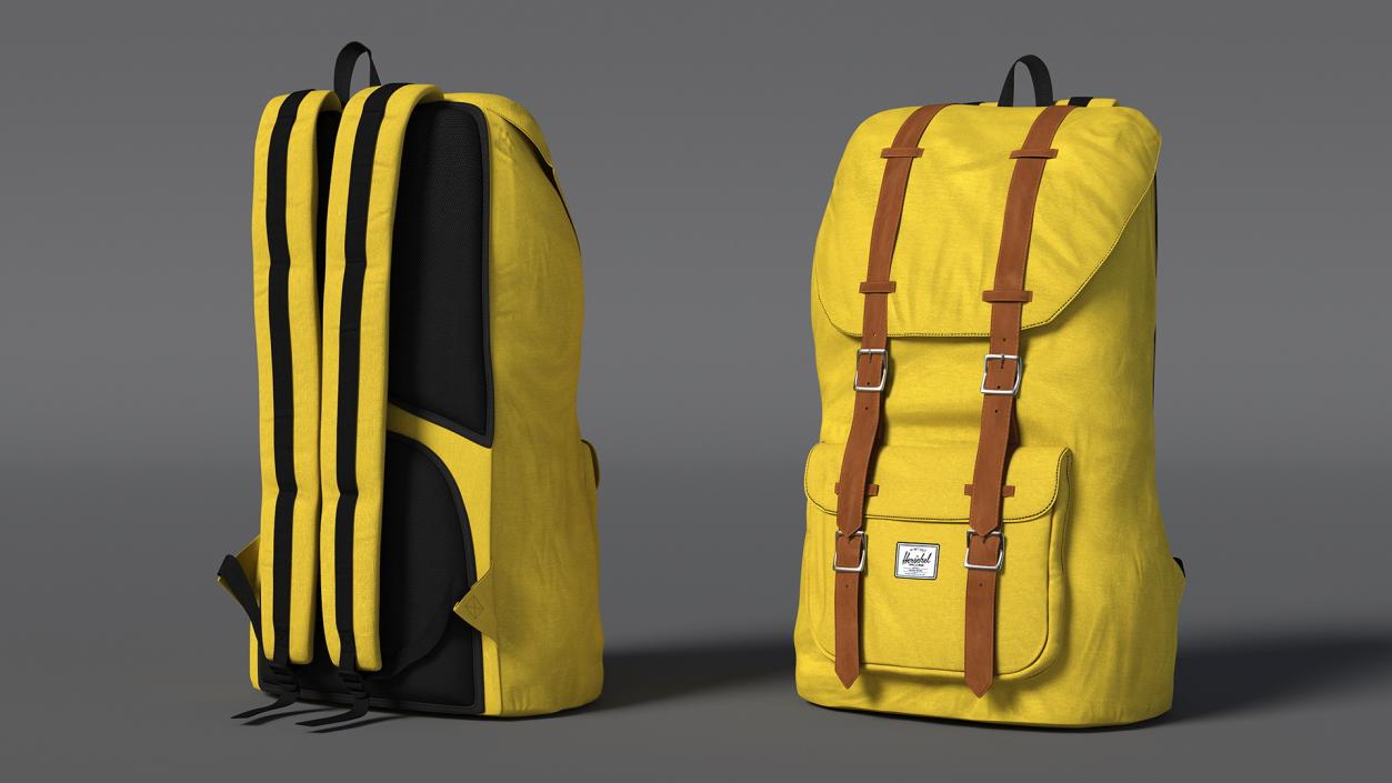 Classic Urban Backpack 3D