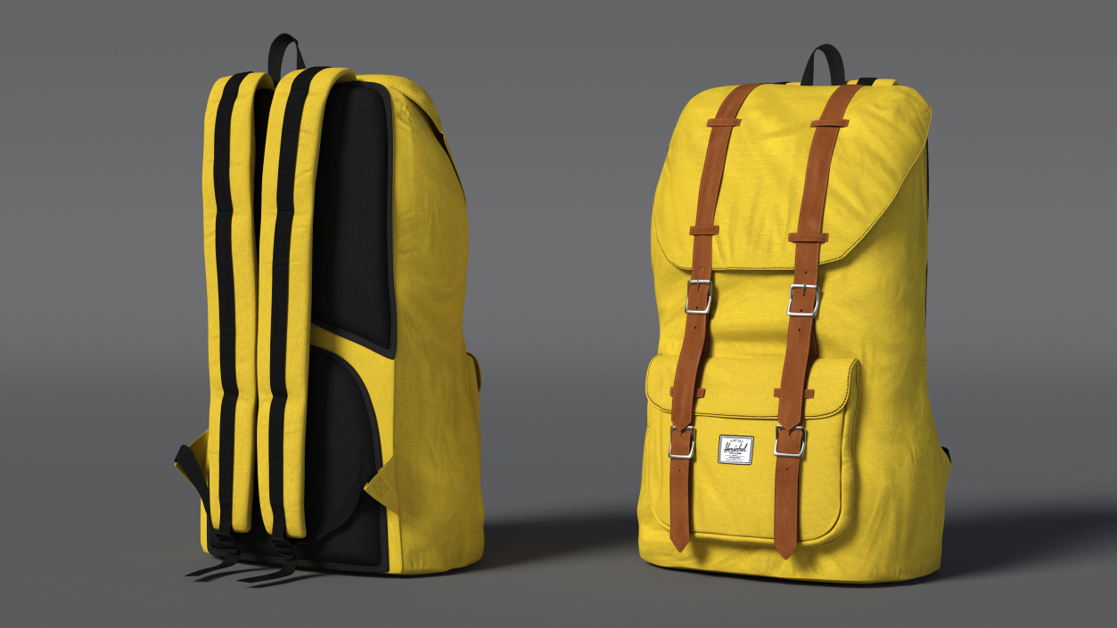 Classic Urban Backpack 3D