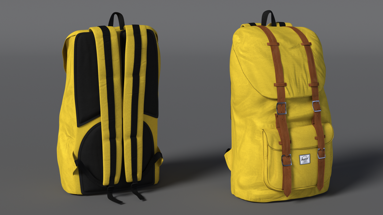 Classic Urban Backpack 3D