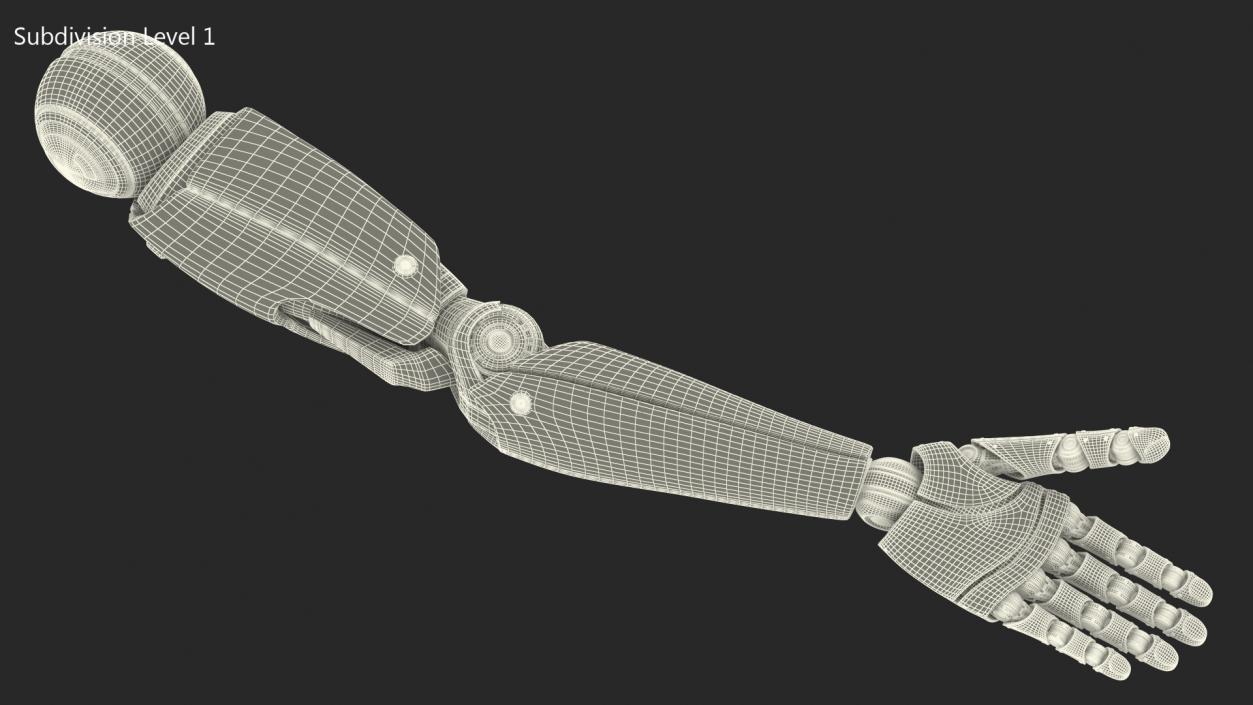 3D Cyborg Hand Rigged model