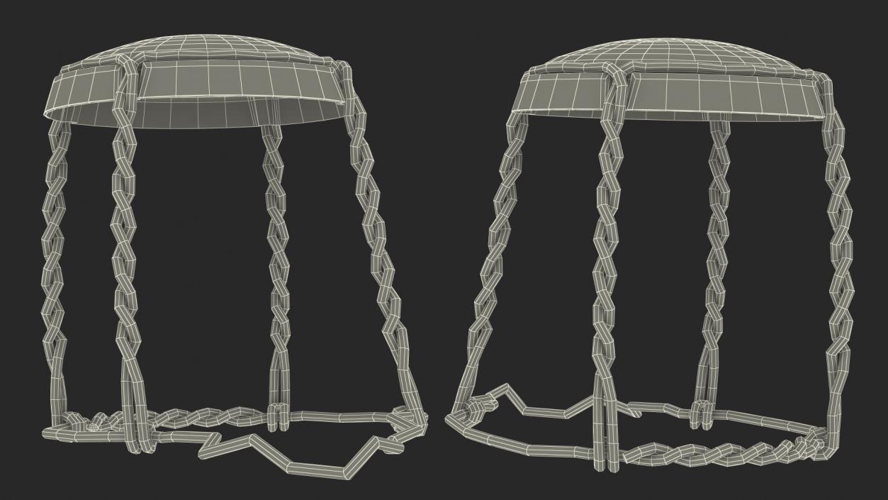 3D Bridle Wire Muzzle Dark model