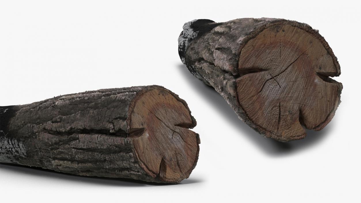 3D Fireplace Logs with Tong Tool  Collection