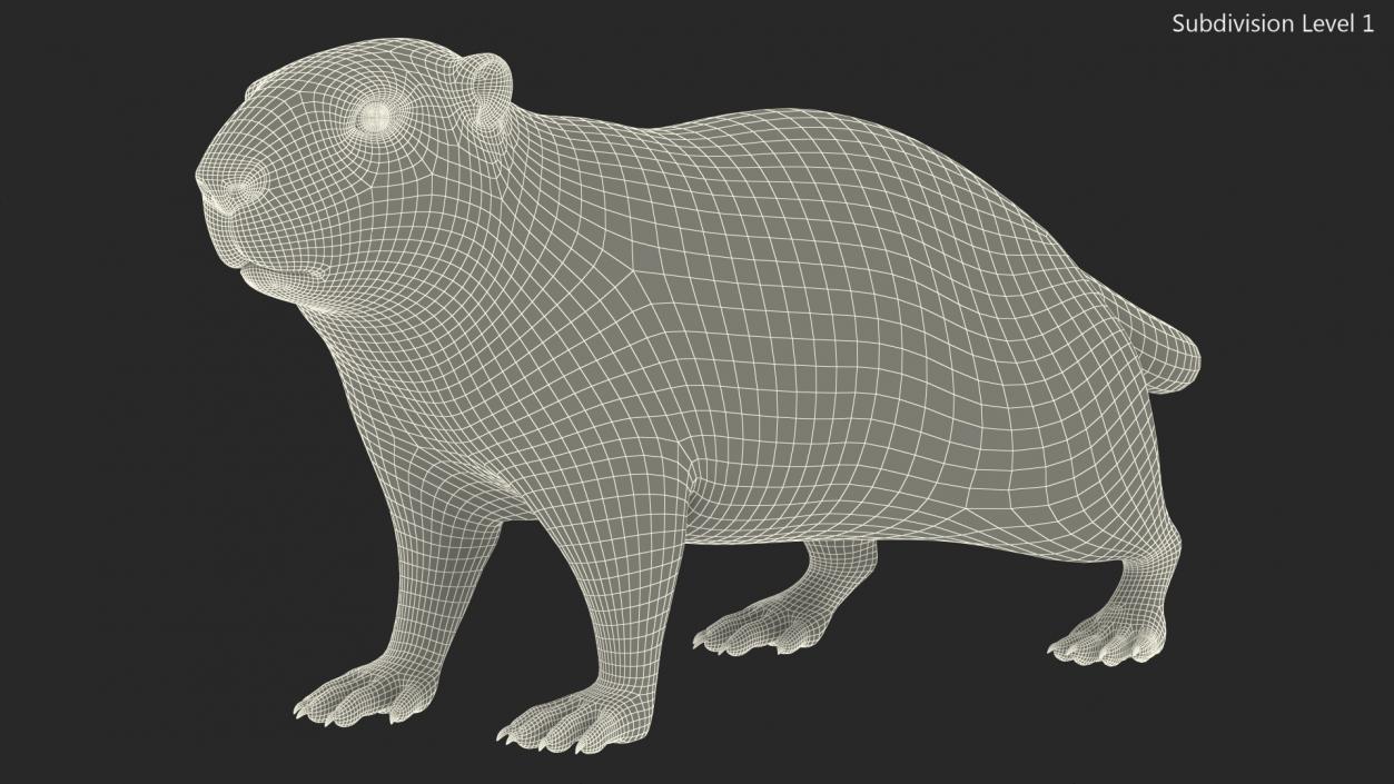 Alpine Marmot Fur 3D