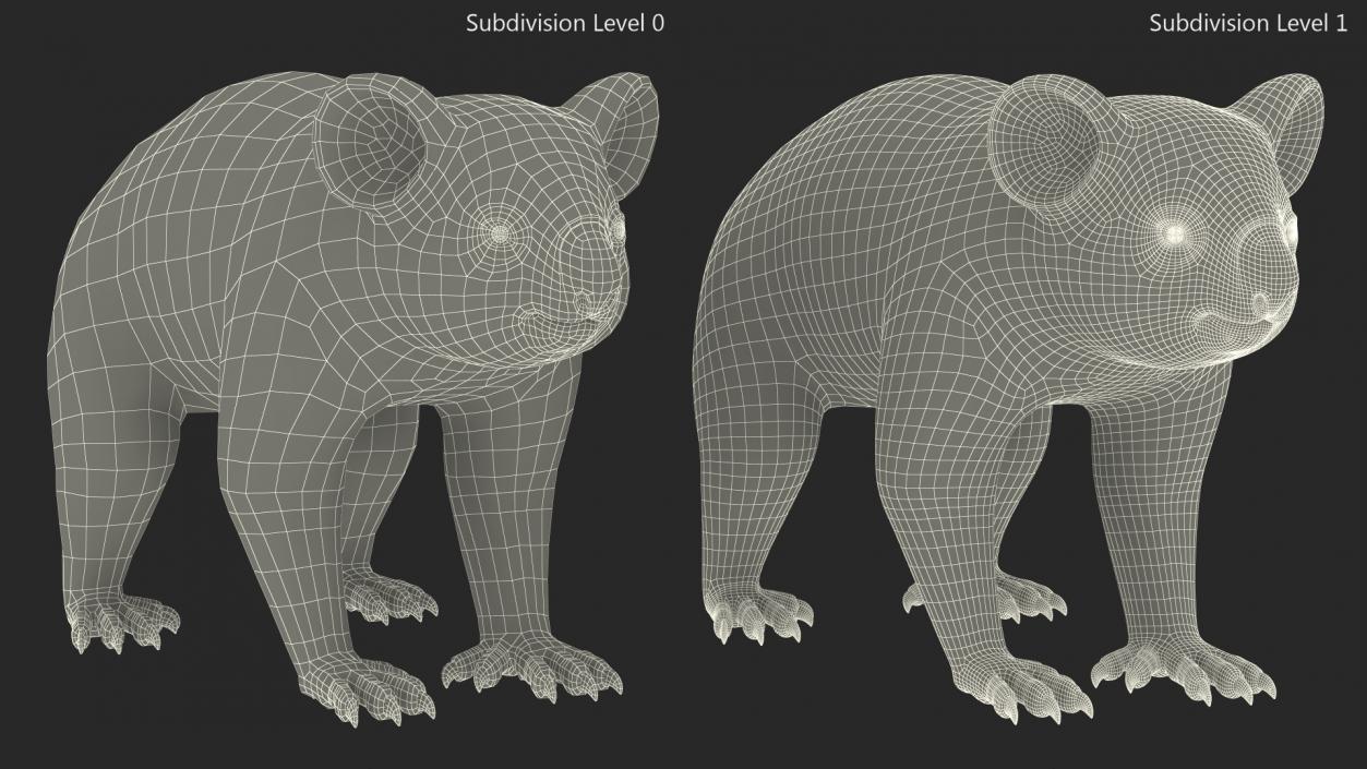 Phascolarctos Cinereus 3D