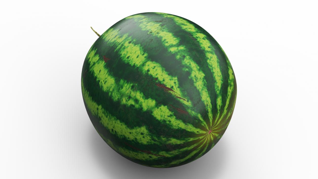 Watermelons Collection 3D