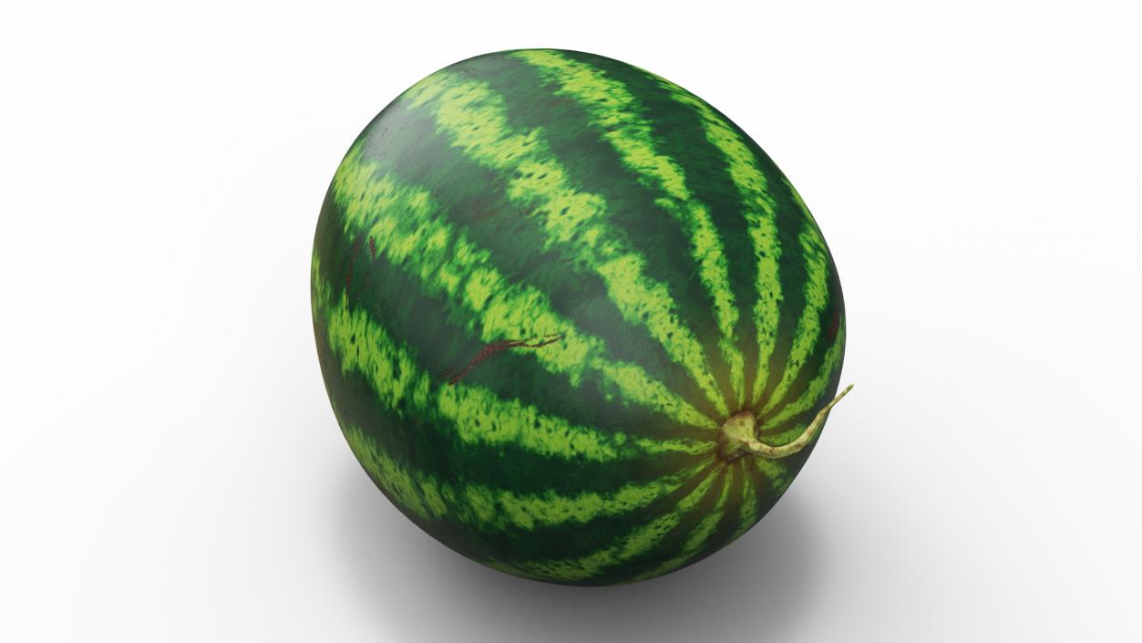 Watermelons Collection 3D