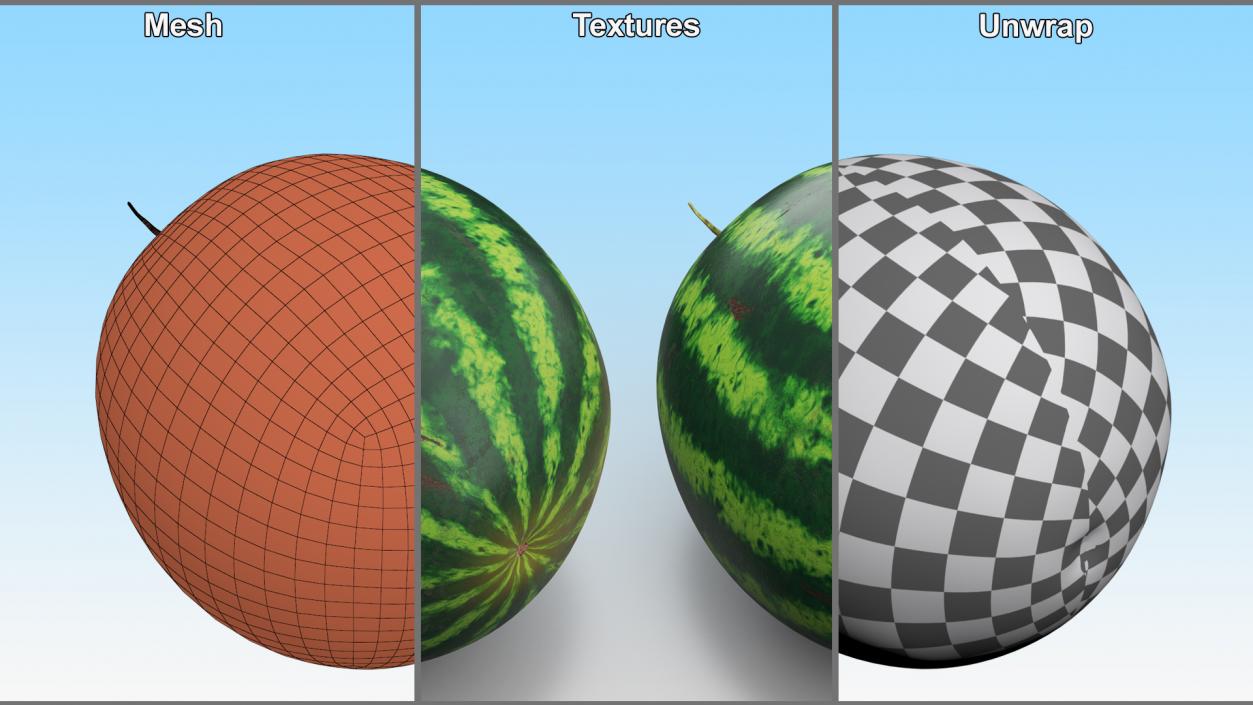 Watermelons Collection 3D