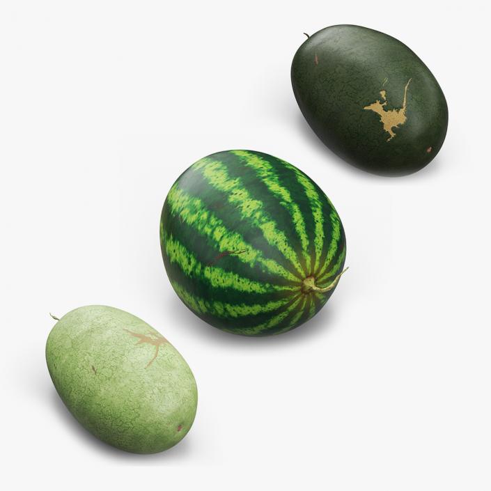 Watermelons Collection 3D